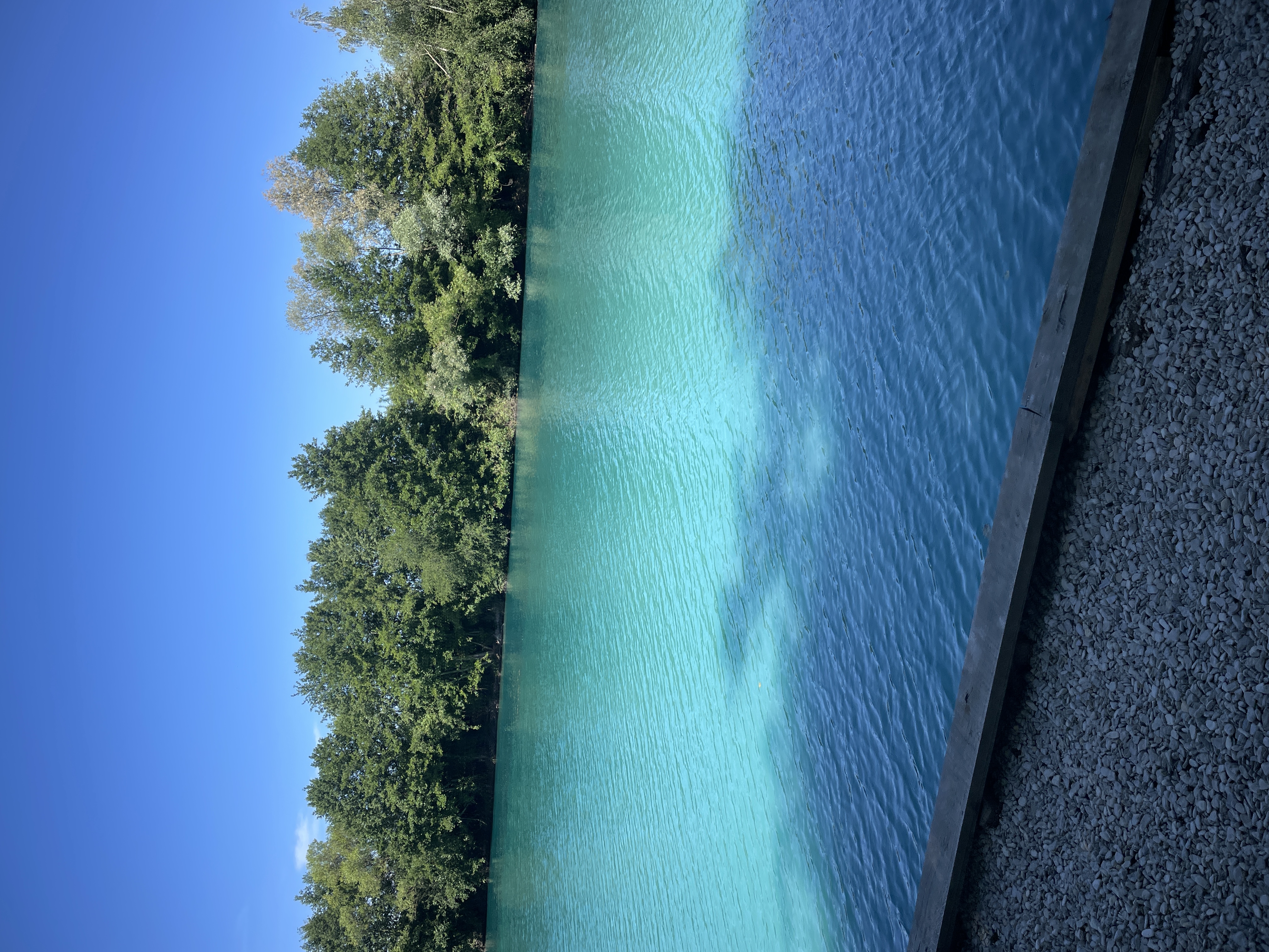 Swim 1 photo 5