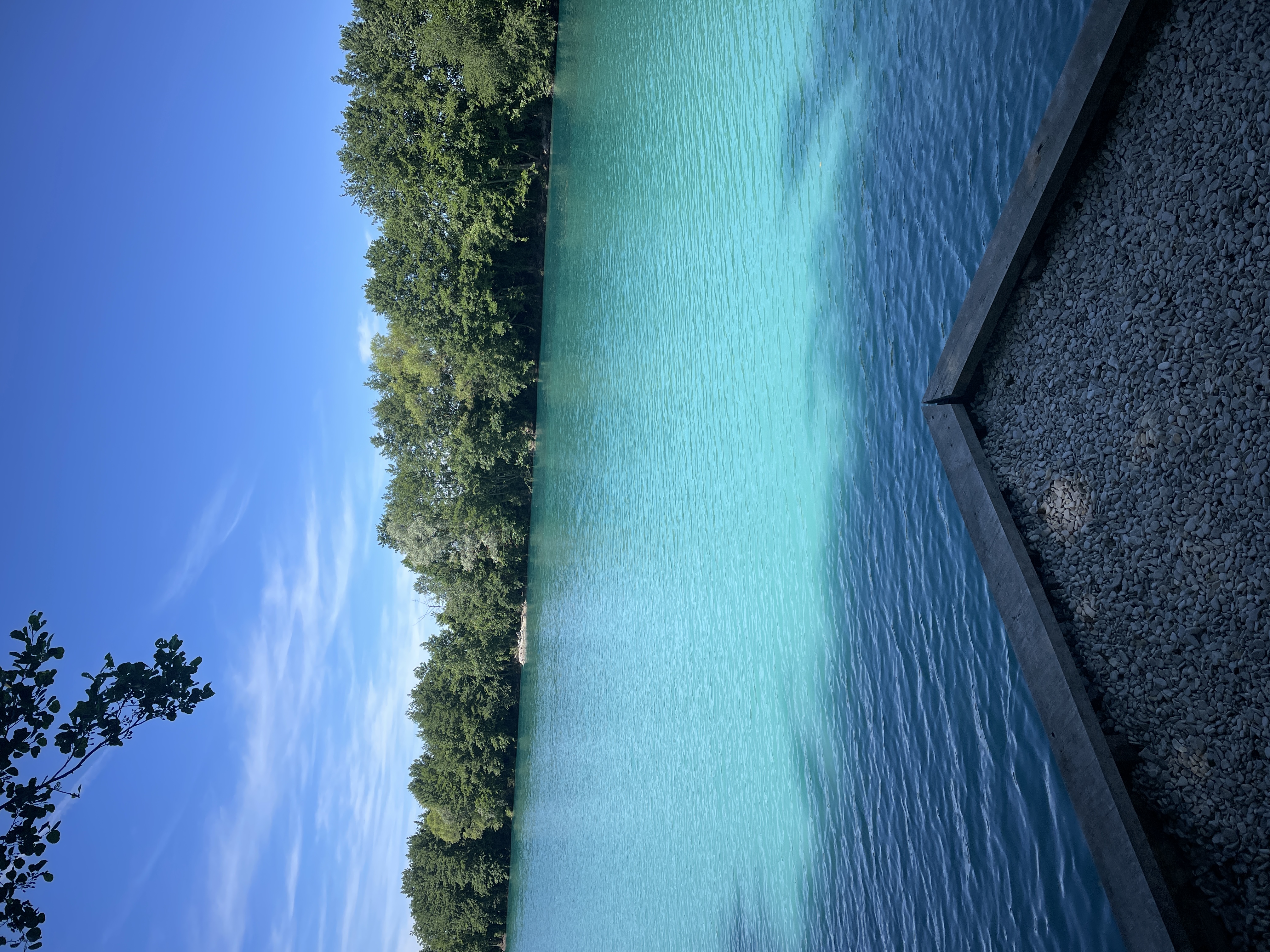Swim 1 photo 6