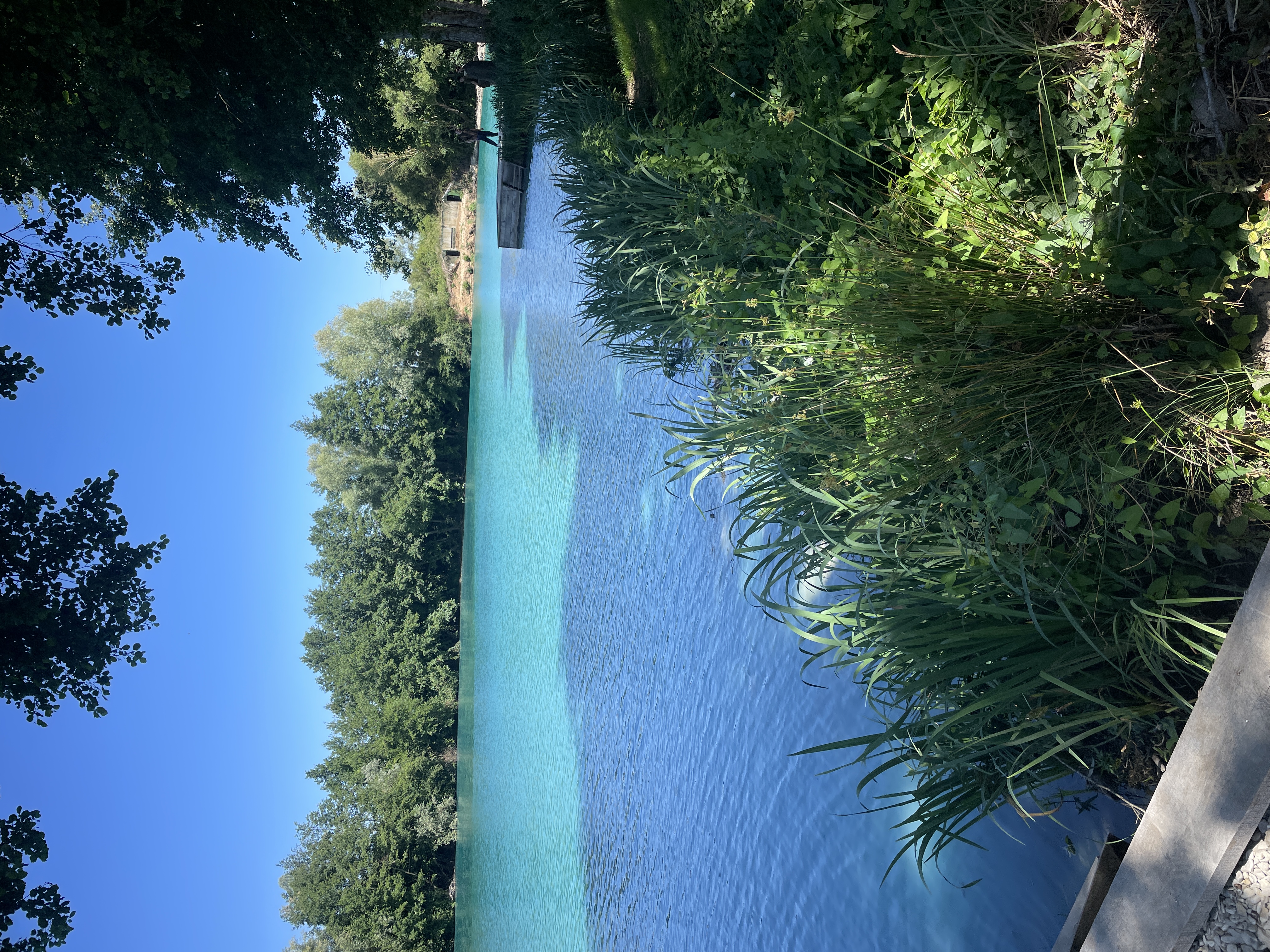 Swim 2 photo 2