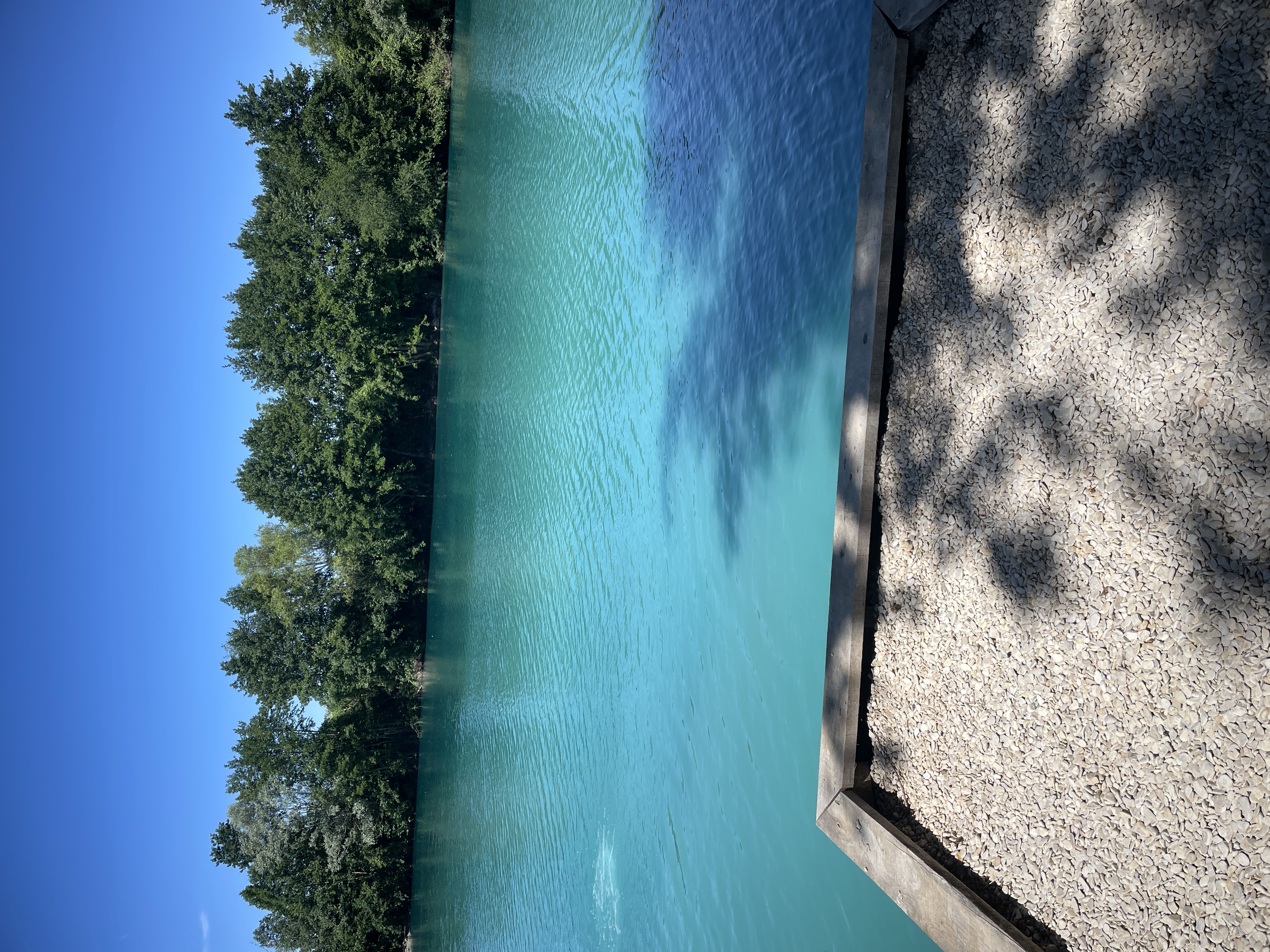 Swim 2 photo 4
