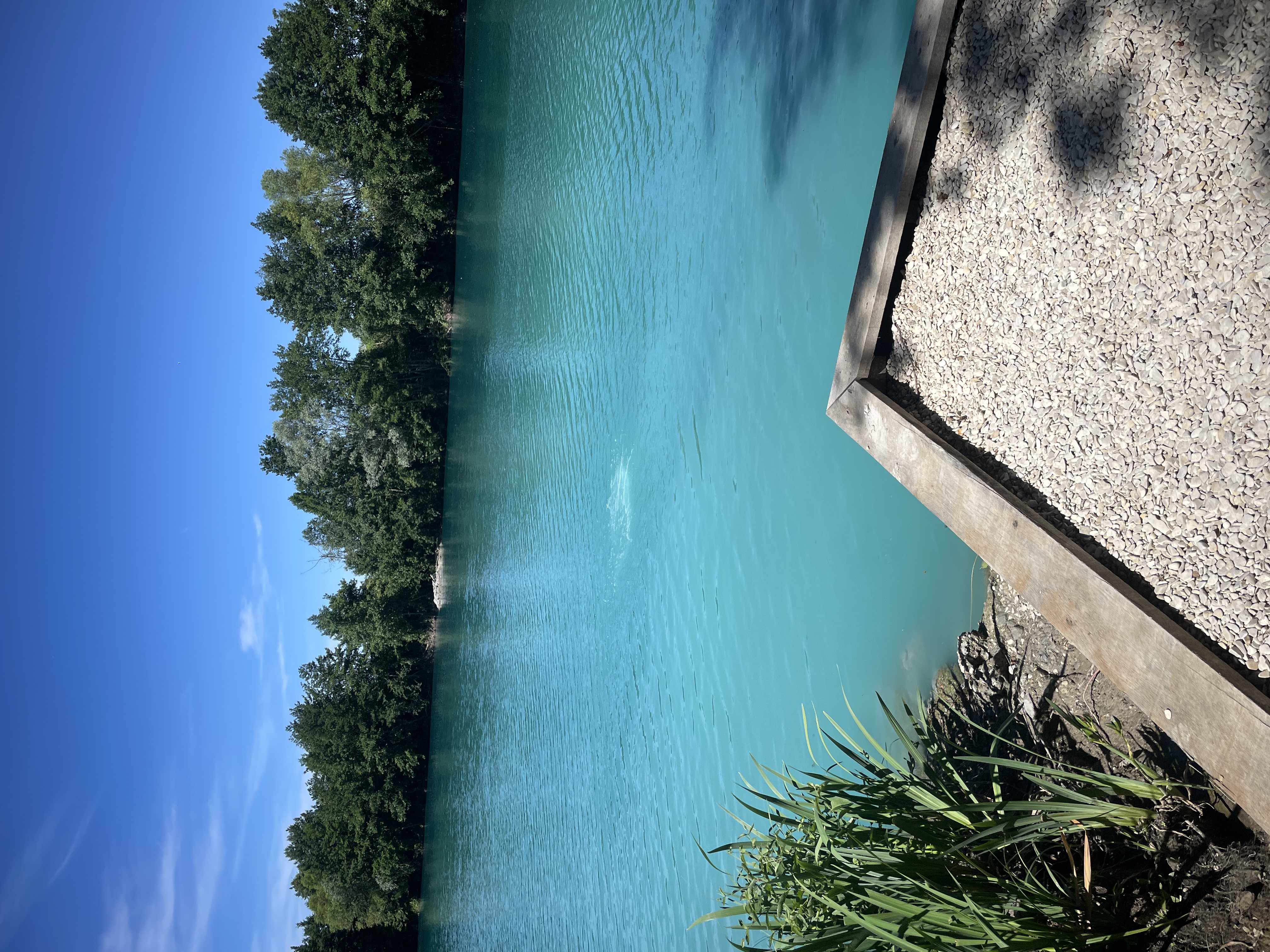 Swim 2 photo 5