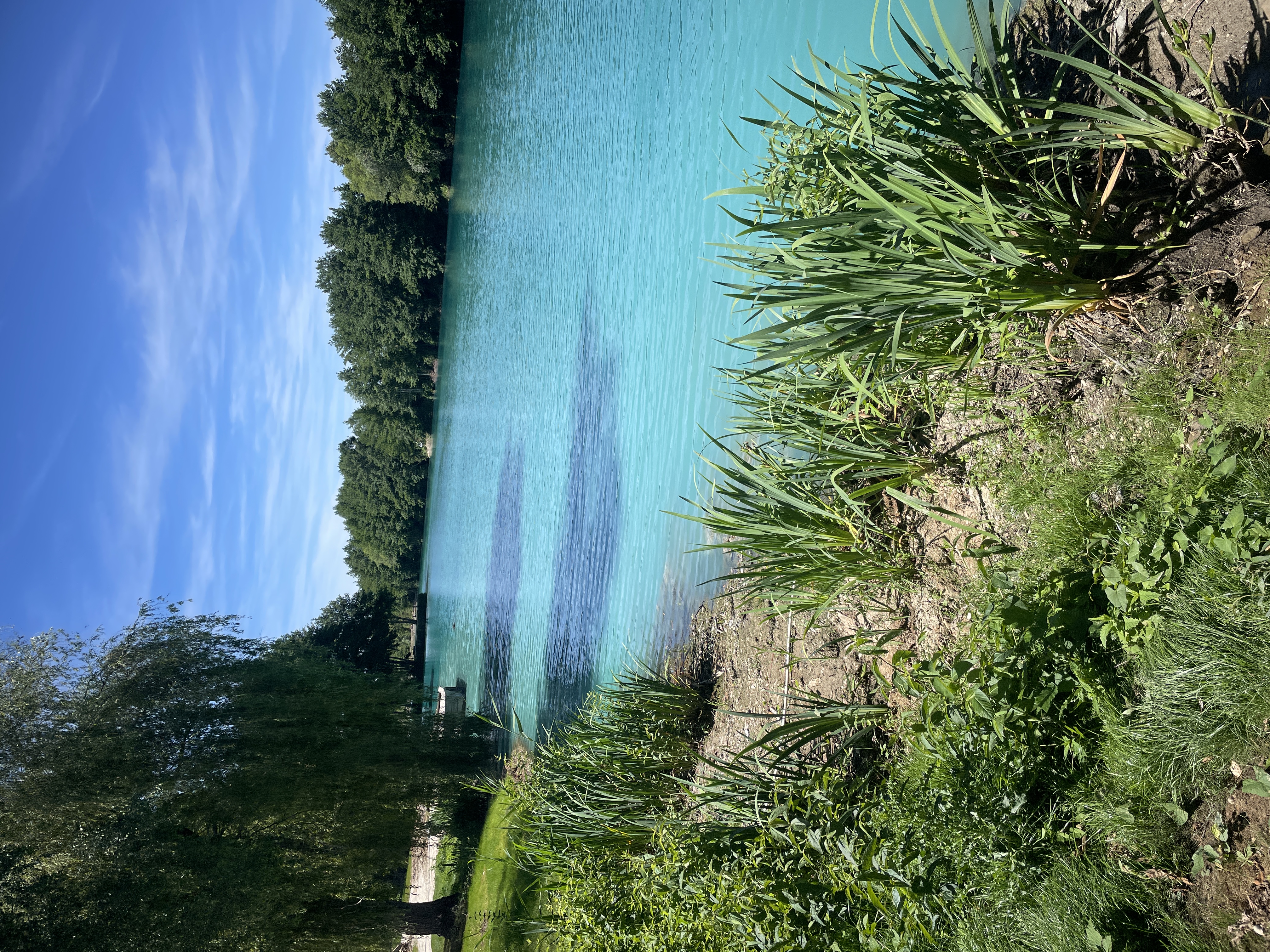 Swim 2 photo 6