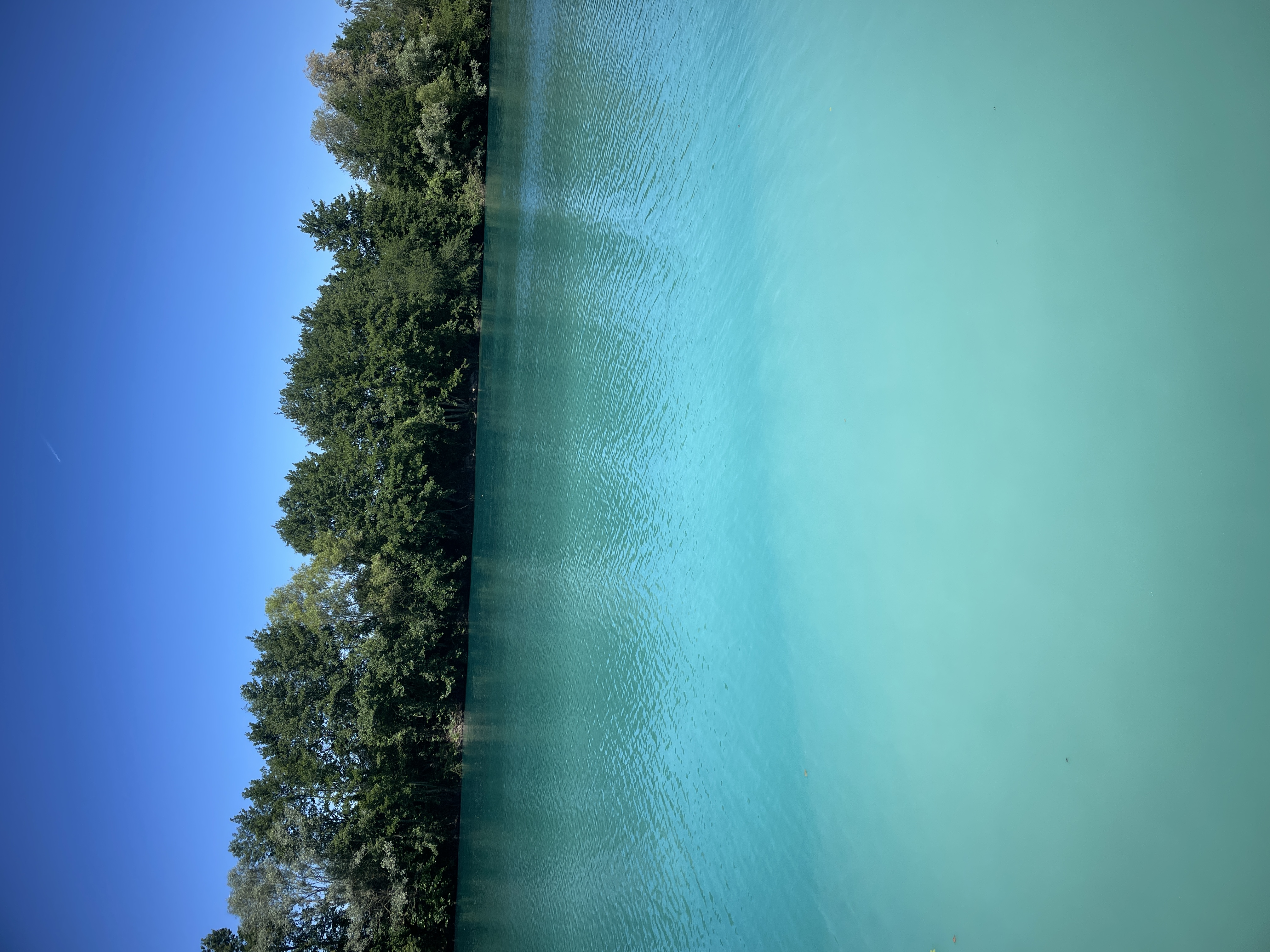 Swim 3 photo 3