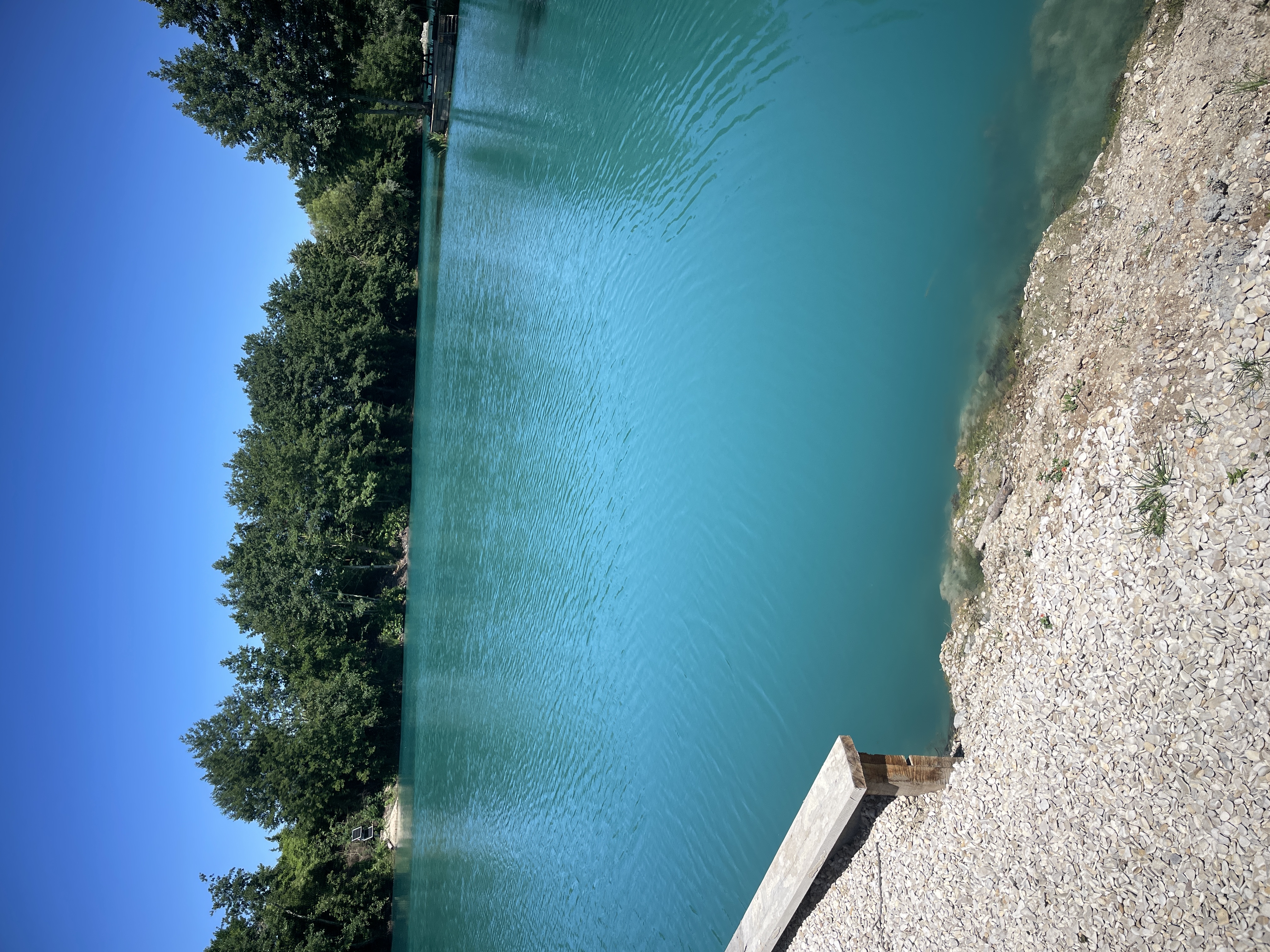 Swim 6 photo 7