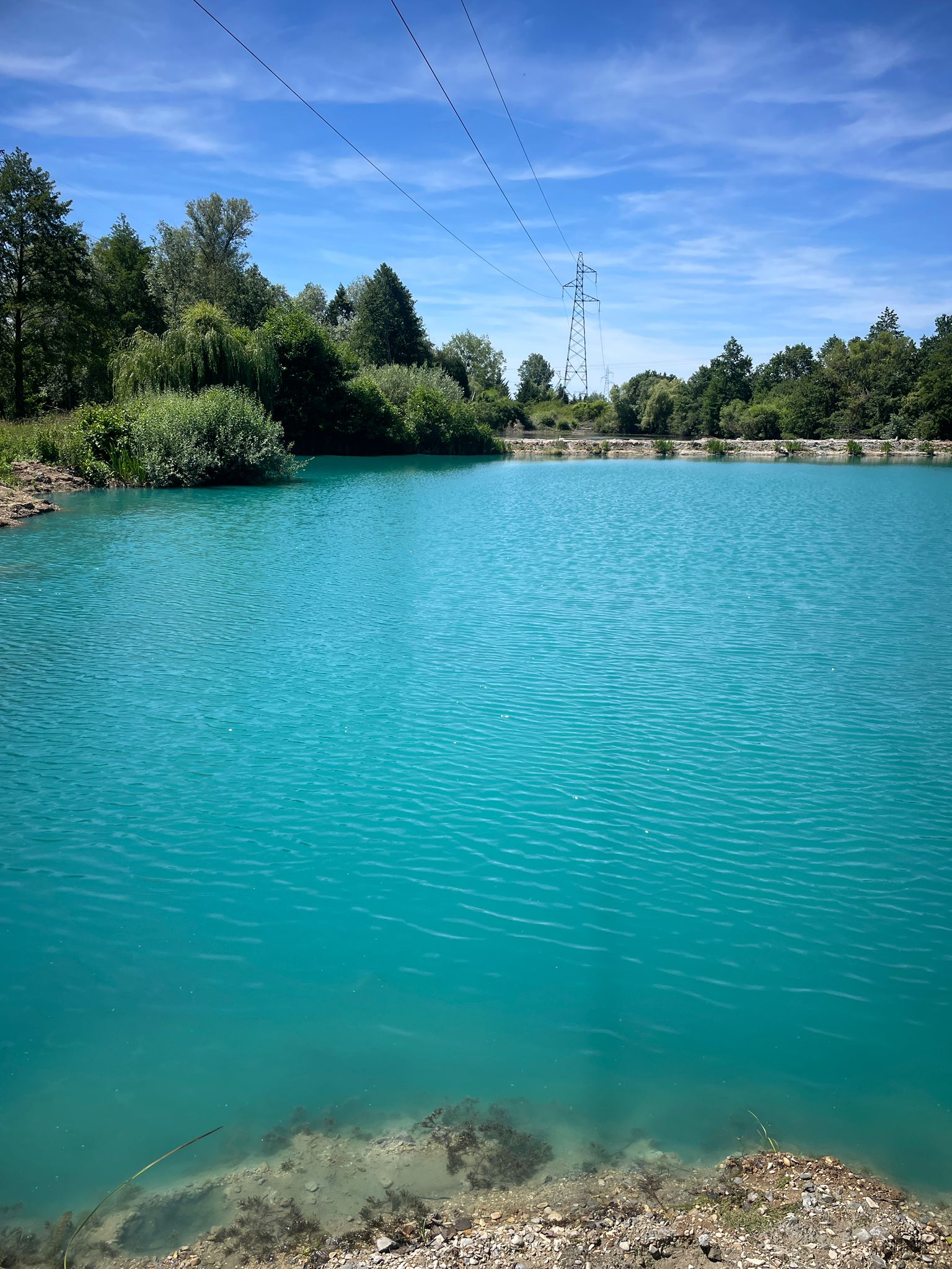 Swim 6 photo 1