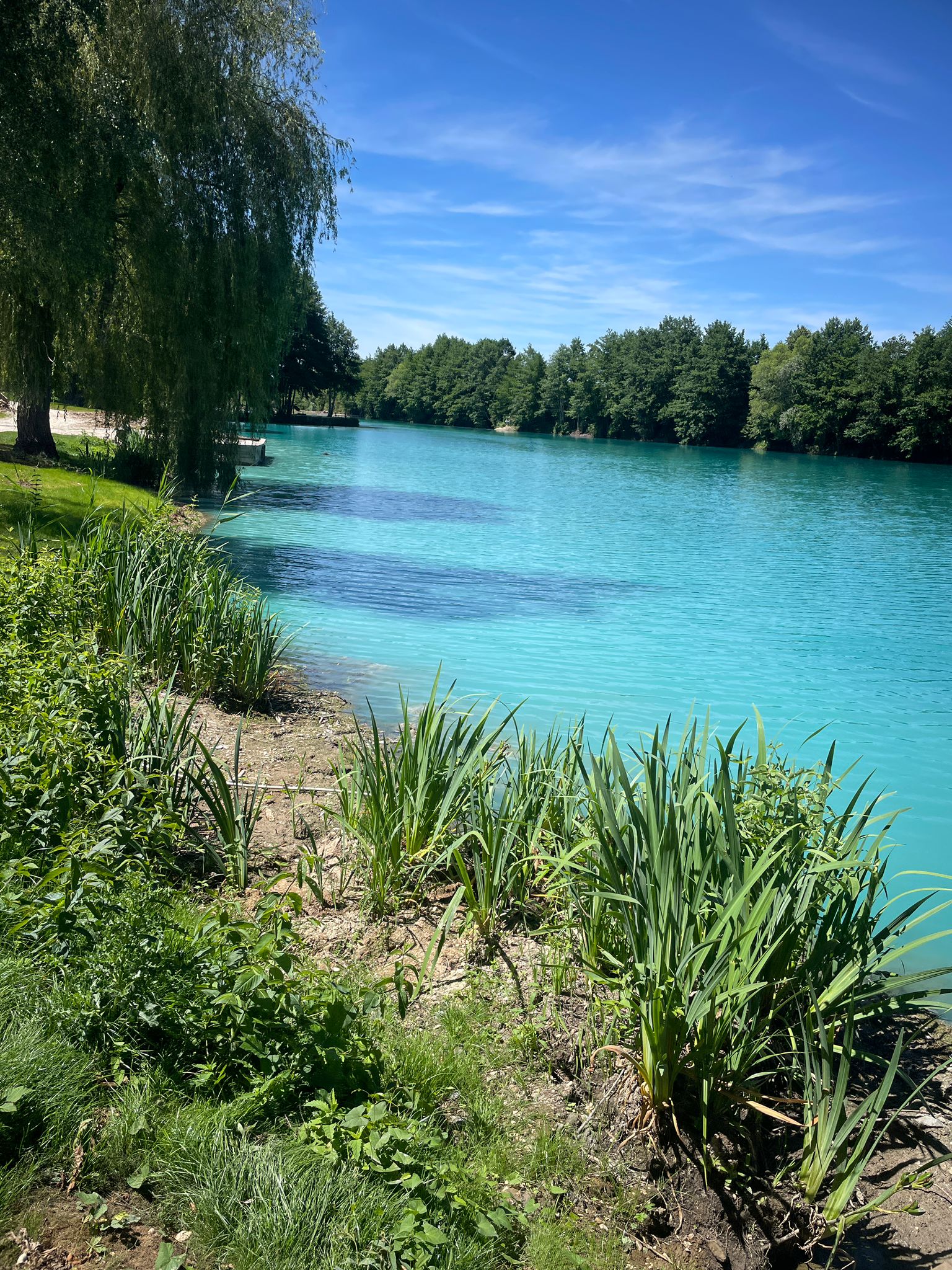 Swim 1 photo 2