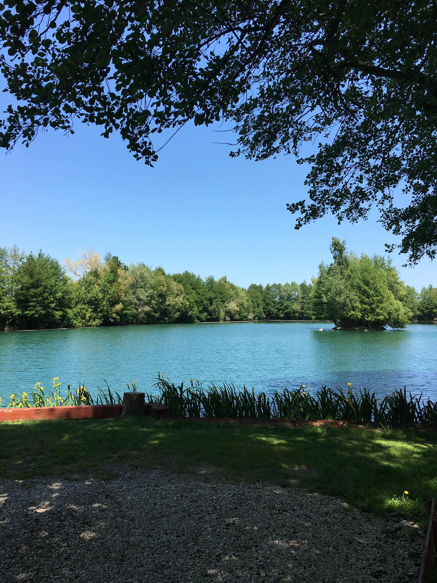 Les Saisons lake viewed from the bankside on a summer day